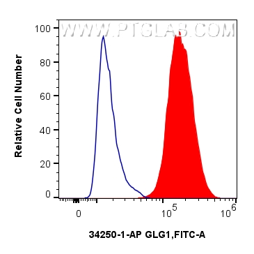 FC experiment of HepG2 using 34250-1-AP FC experiment of HepG2 using 34250-1-AP