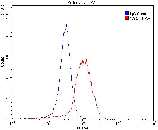 FC experiment of SH-SY5Y using 17951-1-AP