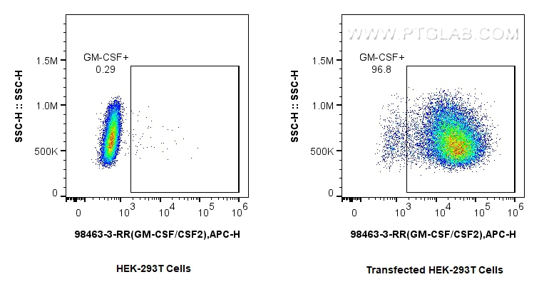FC experiment of Transfected HEK-293T using 98463-3-RR (same clone as 98463-3-PBS) FC experiment of Transfected HEK-293T using 98463-3-RR (same clone as 98463-3-PBS)