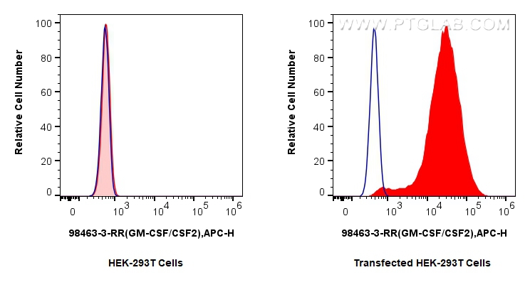 FC experiment of Transfected HEK-293T using 98463-3-RR (same clone as 98463-3-PBS) FC experiment of Transfected HEK-293T using 98463-3-RR (same clone as 98463-3-PBS)