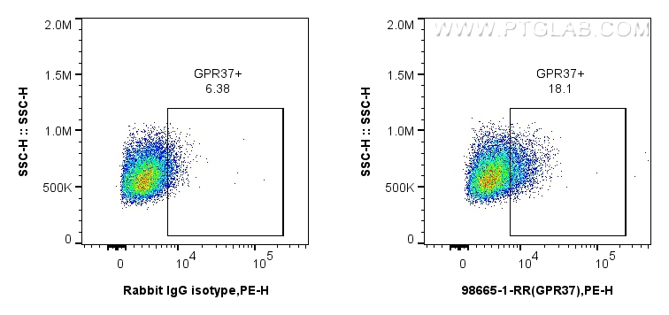 FC experiment of THP-1 using 98665-1-RR (same clone as 98665-1-PBS)
