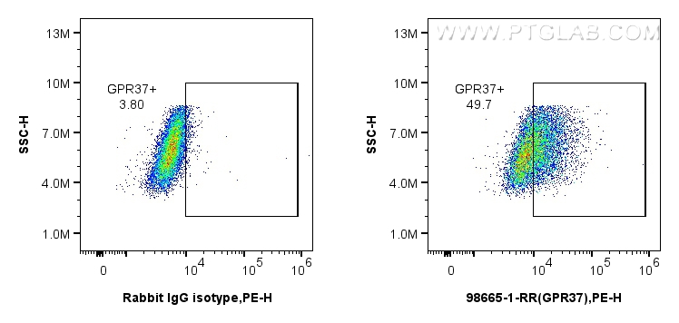 FC experiment of A172 using 98665-1-RR (same clone as 98665-1-PBS)