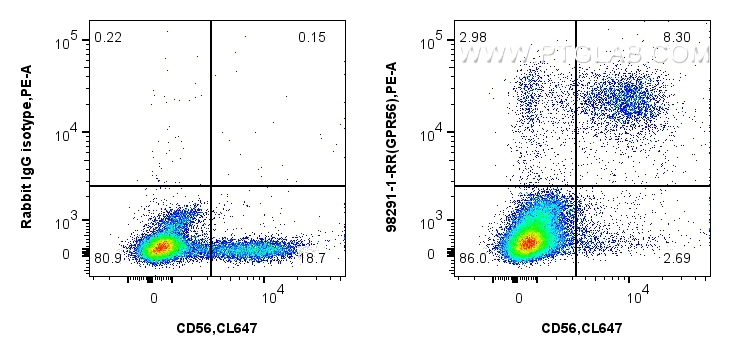 FC experiment of human peripheral blood leukocytes using 98291-1-RR