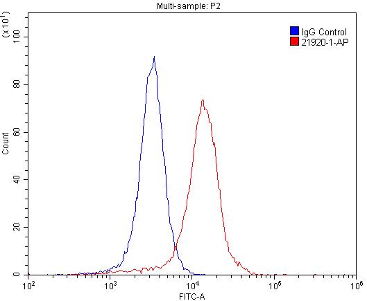 FC experiment of SH-SY5Y using 21920-1-AP