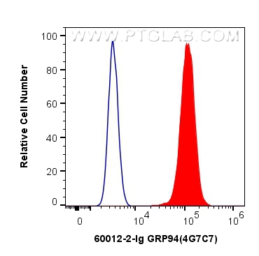 FC experiment of HeLa using 60012-2-Ig (same clone as 60012-2-PBS)