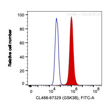 FC experiment of HeLa using CL488-67329