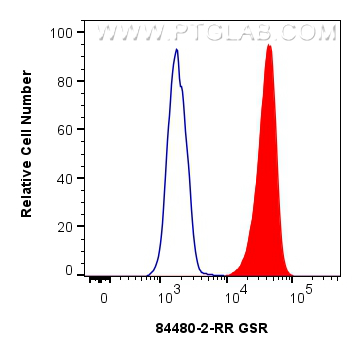 FC experiment of HeLa using 84480-2-RR