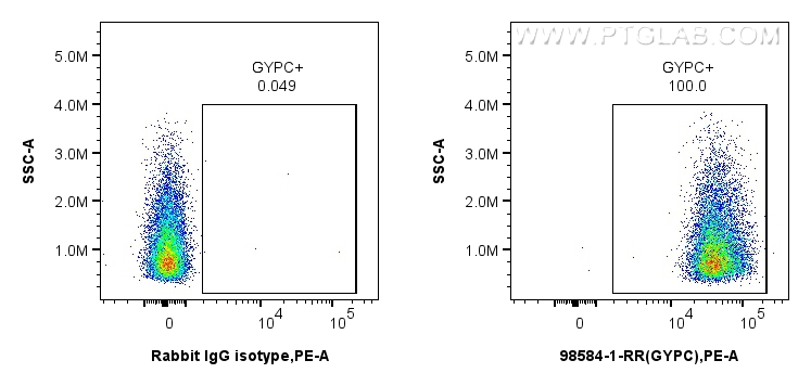 FC experiment of Human peripheral blood erythrocytes using 98584-1-RR (same clone as 98584-1-PBS)