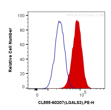 FC experiment of HeLa using CL555-60207