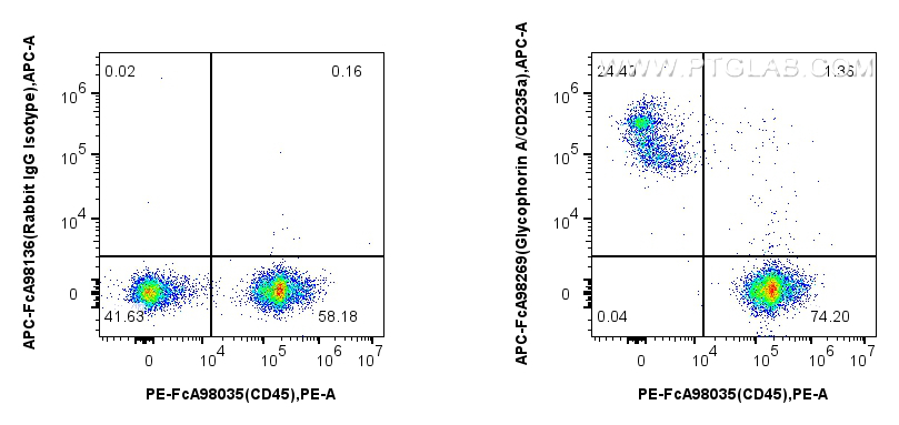 FC experiment of mouse bone marrow using APC-FcA98269