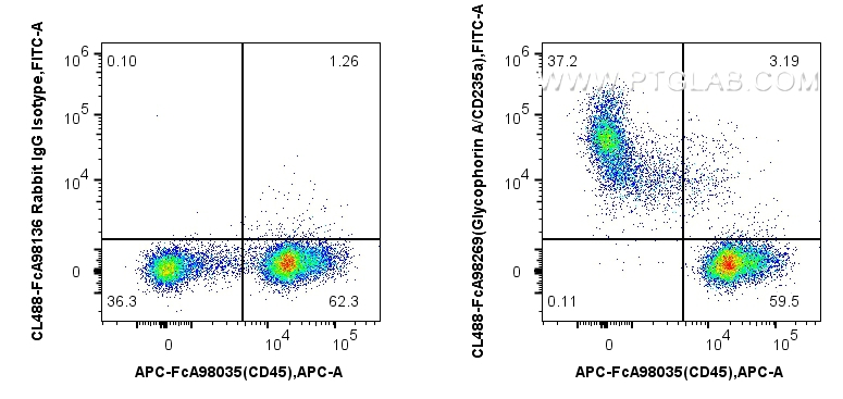 FC experiment of mouse bone marrow using CL488-FcA98269 FC experiment of mouse bone marrow using CL488-FcA98269
