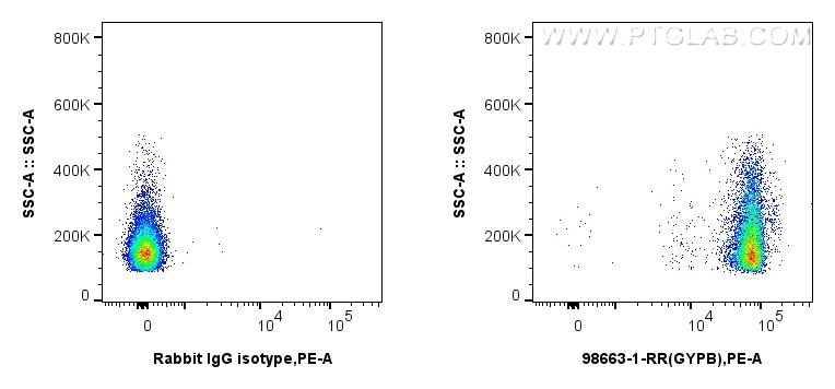 FC experiment of Human peripheral blood erythrocytes using 98663-1-RR