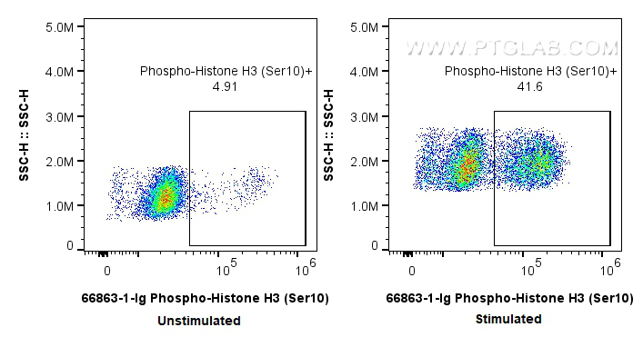 FC experiment of HeLa using 66863-1-Ig (same clone as 66863-1-PBS)
