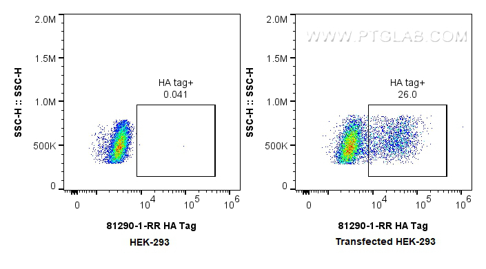 FC experiment of Transfected HEK-293 using 81290-1-RR