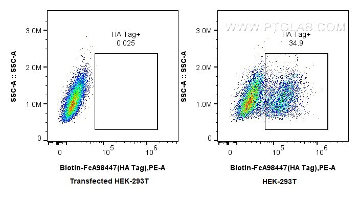FC experiment of Transfected HEK-293T using Biotin-FcA98447