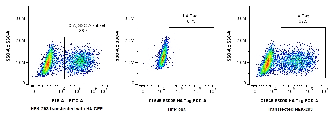 FC experiment of Transfected HEK-293 using CL594-66006