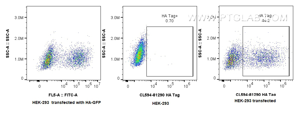 FC experiment of HEK-293  transfected with HA-GFP using CL594-81290