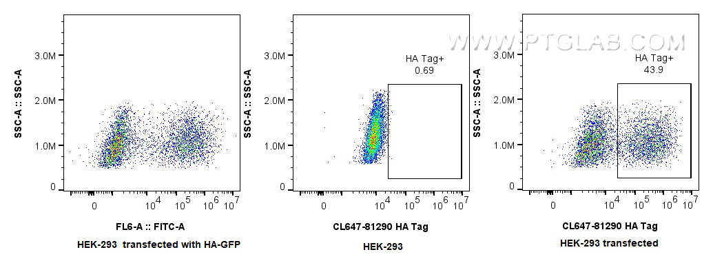 FC experiment of HEK-293  transfected with HA-GFP using CL647-81290