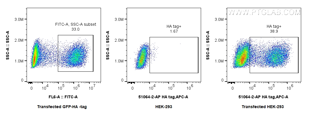 FC experiment of Transfected HEK-293 using 51064-2-AP