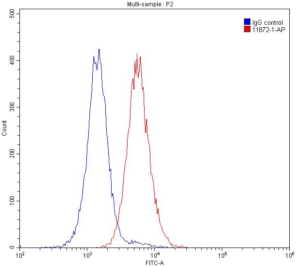 FC experiment of Raji using 11872-1-AP