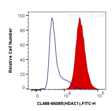 FC experiment of HeLa using CL488-66085