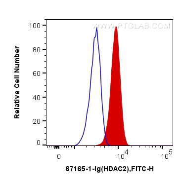 FC experiment of HepG2 using 67165-1-Ig