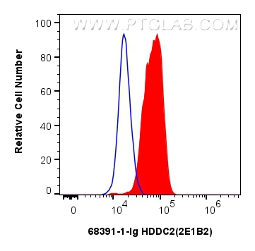 FC experiment of U2OS using 68391-1-Ig