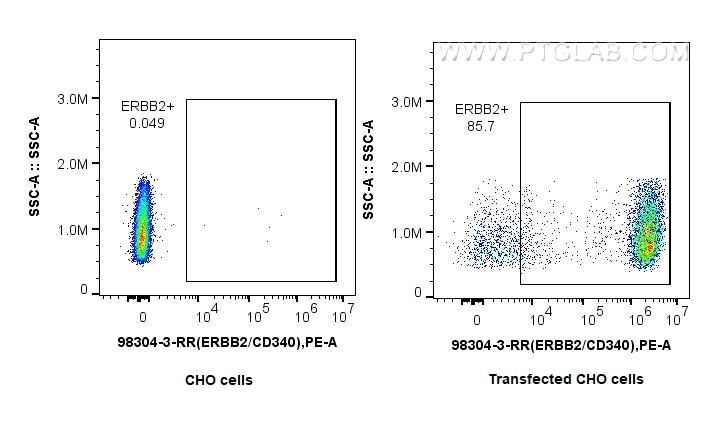 FC experiment of Transfected CHO using 98304-3-RR
