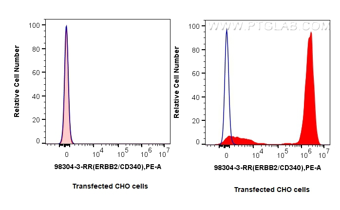 FC experiment of Transfected CHO using 98304-3-RR