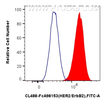 FC experiment of NIH/3T3 using CL488-FcA98153 FC experiment of NIH/3T3 using CL488-FcA98153