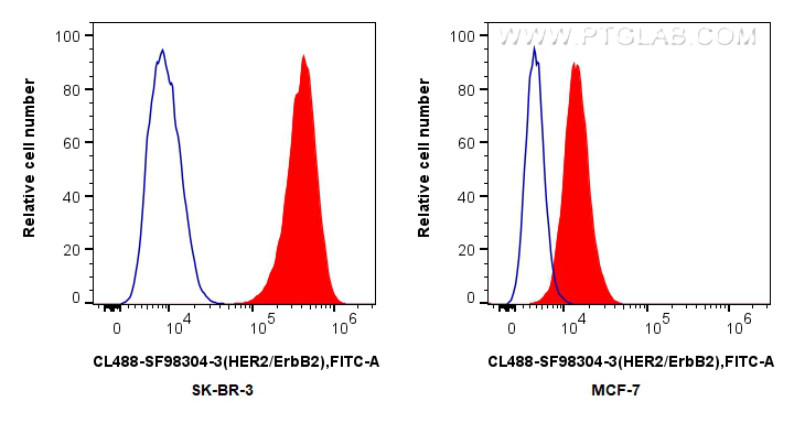 FC experiment of SK-BR-3 using CL488-SF98304-3 FC experiment of SK-BR-3 using CL488-SF98304-3
