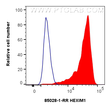 FC experiment of HeLa using 85028-1-RR (same clone as 85028-1-PBS)