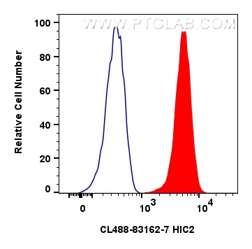 1x10^6 HepG2 cells were intracellularly stained with 0.4 ug Coralite® Plus 488 Hic2 Recombinant Antibody (CL488-83162-7, Clone:230177E8)(red), or 0.4 ug CoraLite® Plus 488-conjugated Rabbit IgG control Rabbit PolyAb (<a class='green' href='/productredirect?CatalogNo=CL488-30000' target='_blank'>CL488-30000</a>) (blue). Cells were fixed with 4% PFA and permeabilized with Flow Cytometry Perm Buffer. FC experiment of HepG2 using CL488-83162-7