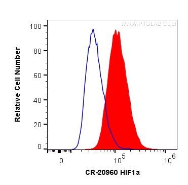 FC experiment of HeLa using CR-20960
