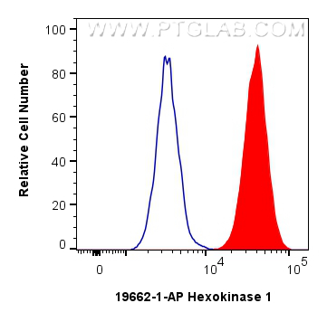 FC experiment of HeLa using 19662-1-AP