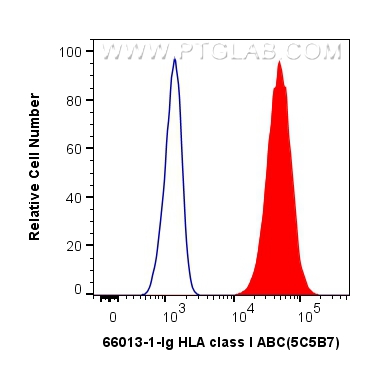 FC experiment of Raji using 66013-1-Ig (same clone as 66013-1-PBS)