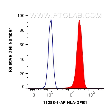 HLA-DPB1