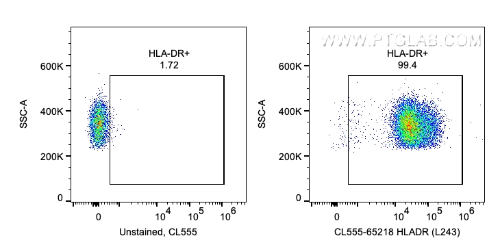 HLA-DR