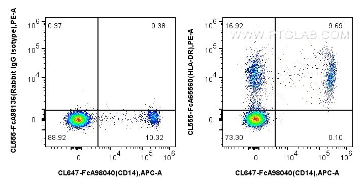 FC experiment of human PBMCs using CL555-FcA65560
