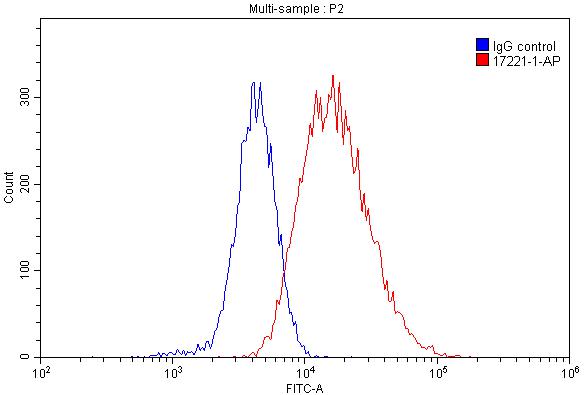 FC experiment of Raji using 17221-1-AP