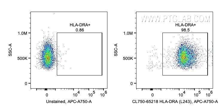 HLA-DR