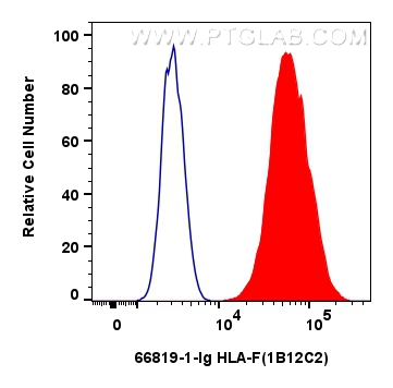 FC experiment of Raji using 66819-1-Ig