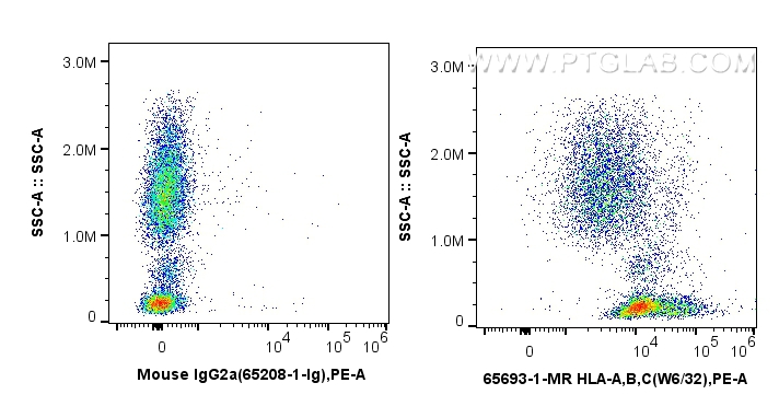 FC experiment of human peripheral blood leukocytes using 65693-1-MR (same clone as 65693-1-PBS) FC experiment of human peripheral blood leukocytes using 65693-1-MR (same clone as 65693-1-PBS)