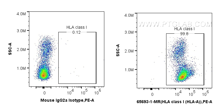 FC experiment of human PBMCs using 65693-1-MR