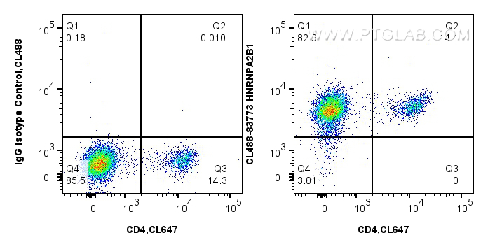 1x10^6 mouse splenocytes were intracellularly stained with 0.4 ug CoraLite® Plus 488-conjugated HNRNPA2B1 Recombinant monoclonal antibody (CL488-83773-7, Clone:240831E3), and 0.4 ug CoraLite® Plus 647 Anti-Mouse CD4 (GK1.5) (<a class='green' href='/productredirect?CatalogNo=CL647-65104' target='_blank'>CL647-65104</a>, Clone: GK1.5), and 0.4 ug CoraLite® Plus 488 Rabbit IgG Isotype Control RecAb (<a class='green' href='/productredirect?CatalogNo=CL488-98136' target='_blank'>CL488-98136</a>, Clone: 240953C9). Cells were fixed and permeabilized with Transcription Factor Staining Buffer Kit (<a class='green' href='/productredirect?CatalogNo=PF00011' target='_blank'>PF00011</a>). FC experiment of mouse splenocytes using CL488-83773-7