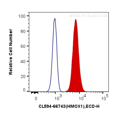 FC experiment of HeLa using CL594-66743