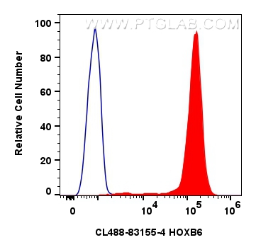 FC experiment of K-562 using CL488-83155-4