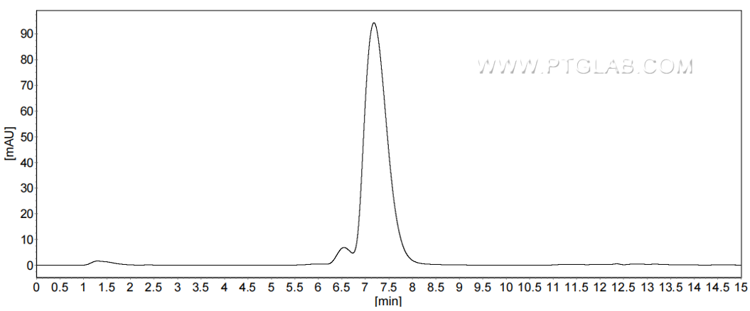 The purity of Human CEACAM6/CD66c was greater than 90% as determined by SEC-HPLC.