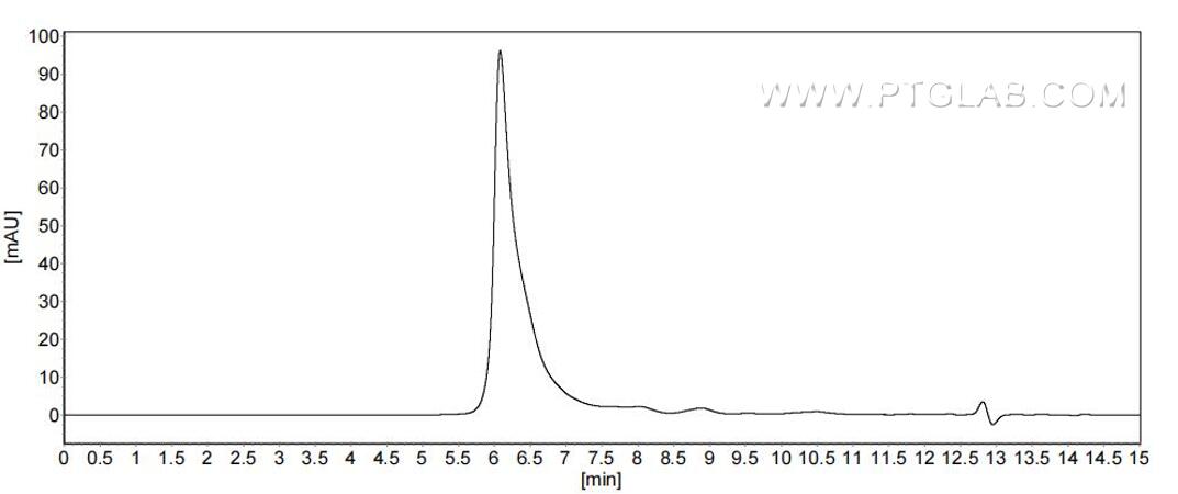 The purity of Human VEGF-B was greater than 90% as determined by SEC-HPLC.