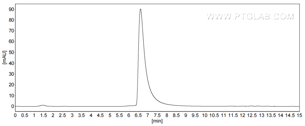 The purity of Human CEACAM-1/CD66a was greater than 90% as determined by SEC-HPLC.